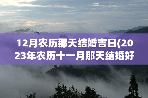 12月农历那天结婚吉日(2023年农历十一月那天结婚好)