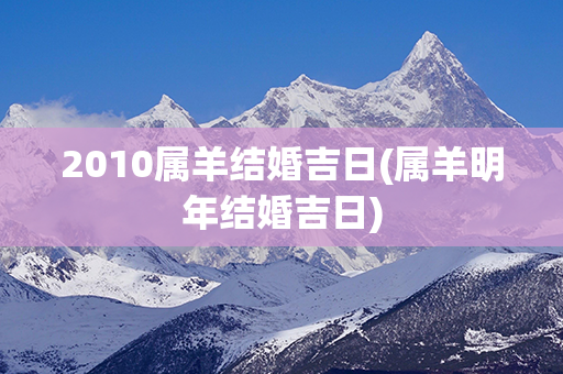 2010属羊结婚吉日(属羊明年结婚吉日)