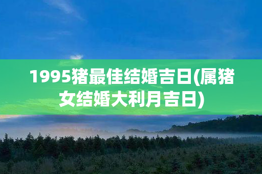 1995猪最佳结婚吉日(属猪女结婚大利月吉日)