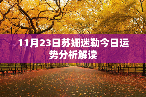 11月23日苏姗迷勒今日运势分析解读