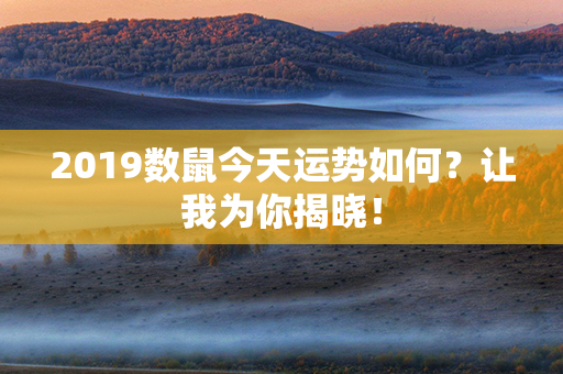 2019数鼠今天运势如何？让我为你揭晓！