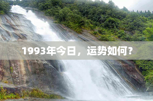 1993年今日，运势如何？