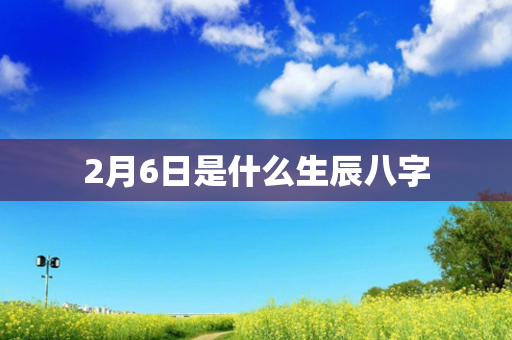 2月6日是什么生辰八字