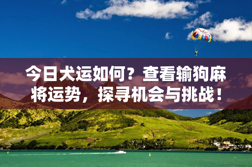 今日犬运如何？查看输狗麻将运势，探寻机会与挑战！