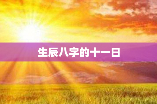 生辰八字的十一日