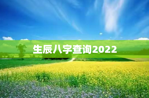 生辰八字查询2022