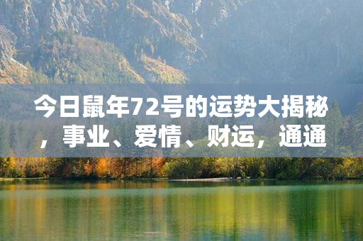 今日鼠年72号的运势大揭秘，事业、爱情、财运，通通一网打尽！