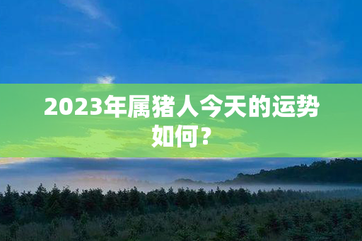 2023年属猪人今天的运势如何？