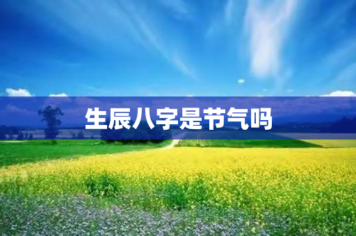 生辰八字是节气吗