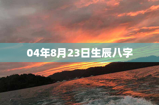 04年8月23日生辰八字