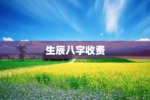 生辰八字收费