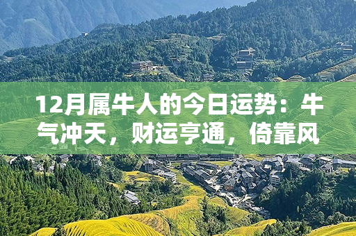 12月属牛人的今日运势：牛气冲天，财运亨通，倚靠风水宝地引来好运！