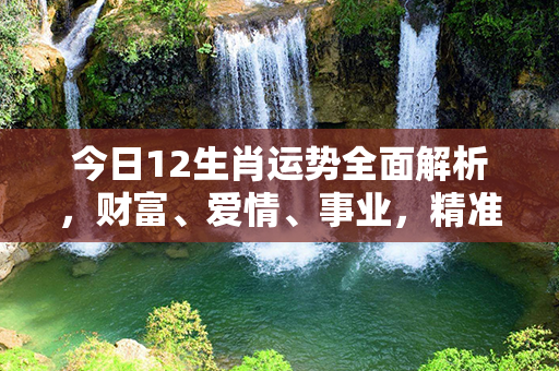 今日12生肖运势全面解析，财富、爱情、事业，精准预测带你开启幸运之门