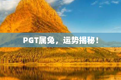 PGT属兔，运势揭秘！