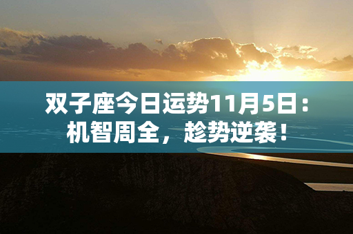 双子座今日运势11月5日：机智周全，趁势逆袭！