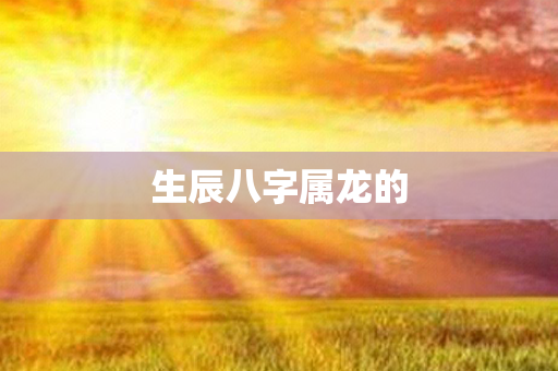 生辰八字属龙的