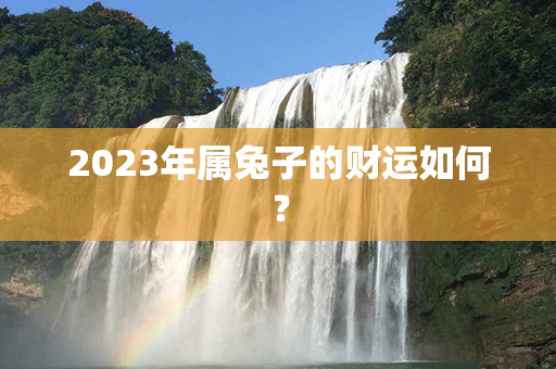 2023年属兔子的财运如何？