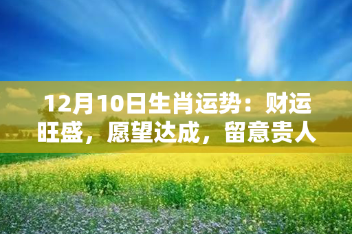 12月10日生肖运势：财运旺盛，愿望达成，留意贵人相助