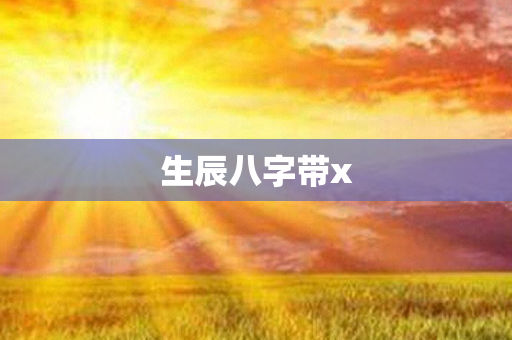 生辰八字带x