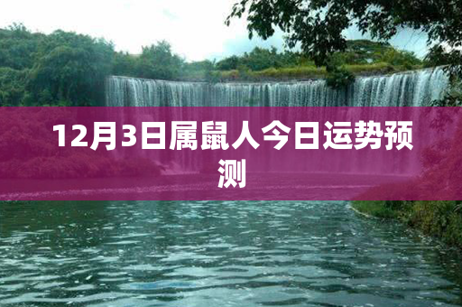 12月3日属鼠人今日运势预测