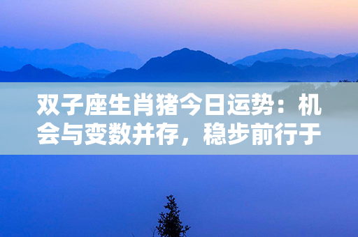 双子座生肖猪今日运势：机会与变数并存，稳步前行于喧嚣中