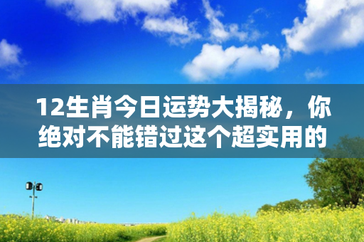 12生肖今日运势大揭秘，你绝对不能错过这个超实用的运势分析指南！