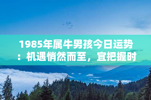 1985年属牛男孩今日运势：机遇悄然而至，宜把握时机展示才华