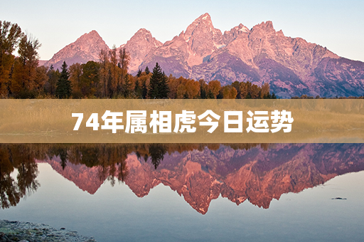 74年属相虎今日运势