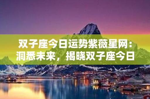 双子座今日运势紫薇星网：洞悉未来，揭晓双子座今日机遇与挑战！