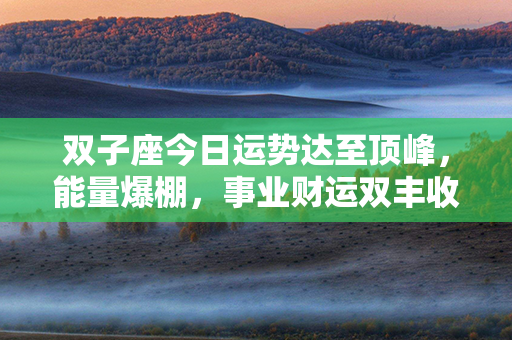 双子座今日运势达至顶峰，能量爆棚，事业财运双丰收，运势升华新高！