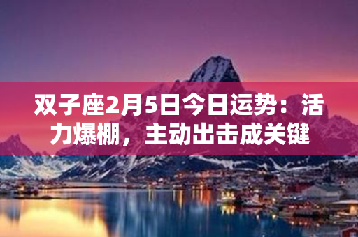 双子座2月5日今日运势：活力爆棚，主动出击成关键