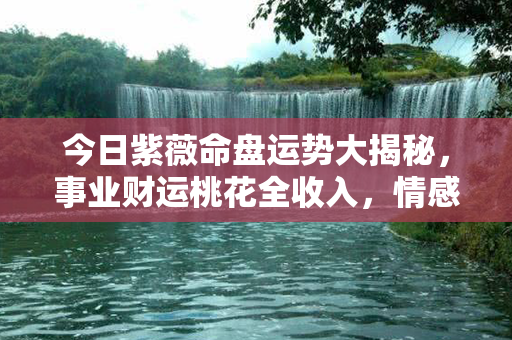 今日紫薇命盘运势大揭秘，事业财运桃花全收入，情感机缘无限放大