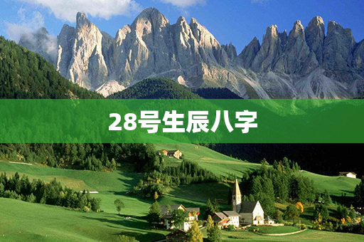 28号生辰八字