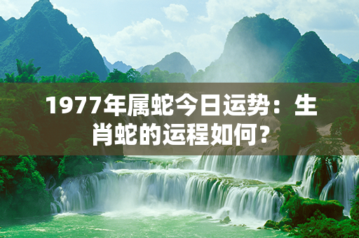 1977年属蛇今日运势：生肖蛇的运程如何？