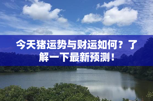 今天猪运势与财运如何？了解一下最新预测！