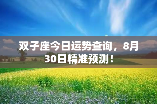 双子座今日运势查询，8月30日精准预测！