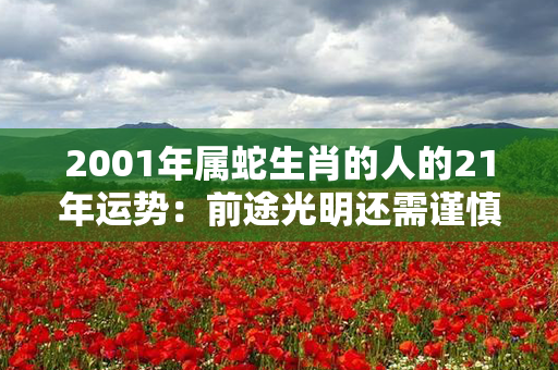 2001年属蛇生肖的人的21年运势：前途光明还需谨慎致远！