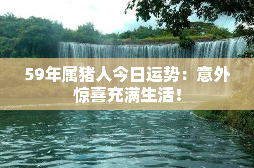 59年属猪人今日运势：意外惊喜充满生活！