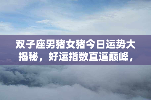 双子座男猪女猪今日运势大揭秘，好运指数直逼巅峰，财富与爱情齐飞