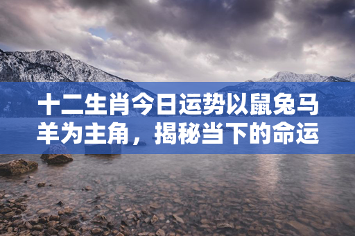 十二生肖今日运势以鼠兔马羊为主角，揭秘当下的命运风云