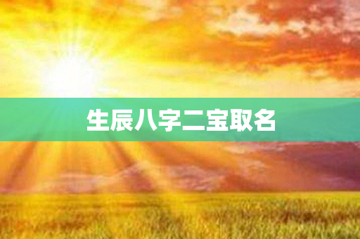 生辰八字二宝取名