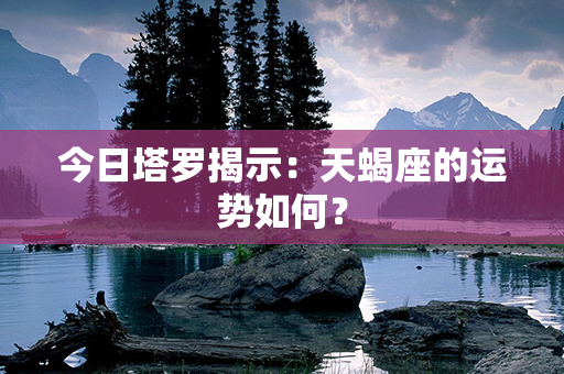 今日塔罗揭示：天蝎座的运势如何？