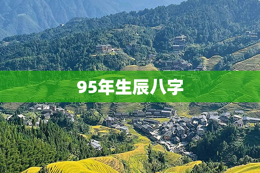 95年生辰八字