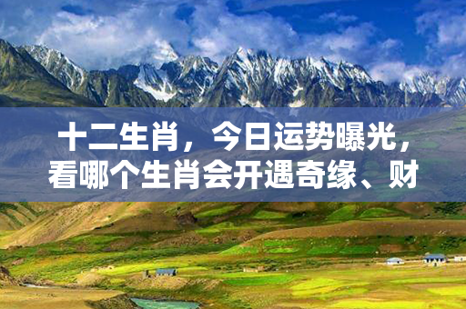 十二生肖，今日运势曝光，看哪个生肖会开遇奇缘、财运亨通、事业腾飞