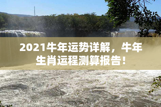 2021牛年运势详解，牛年生肖运程测算报告！