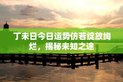 丁未日今日运势仿若绽放绚烂，揭秘未知之途