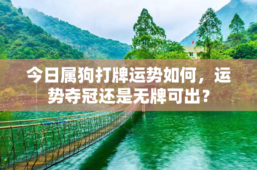 今日属狗打牌运势如何，运势夺冠还是无牌可出？