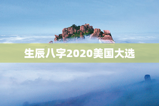 生辰八字2020美国大选