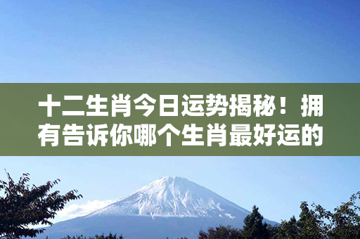 十二生肖今日运势揭秘！拥有告诉你哪个生肖最好运的神秘力量的达人来了！