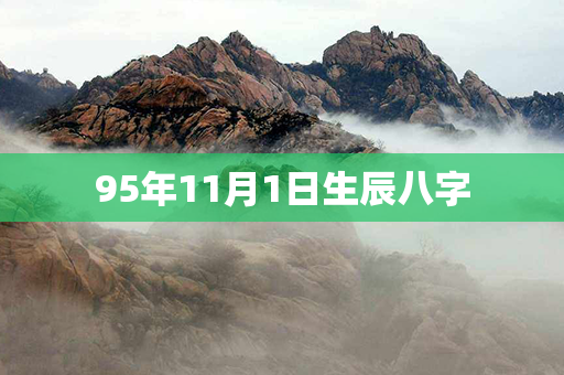 95年11月1日生辰八字